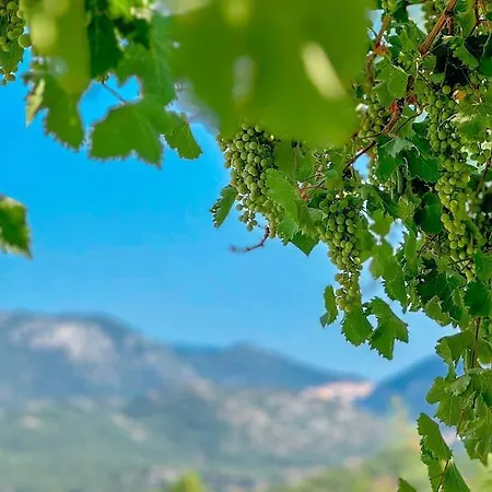 Apartment Doga Icerisinde *